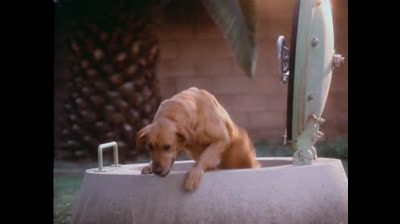 Code Quantum S3- Ep21 FRENCH .